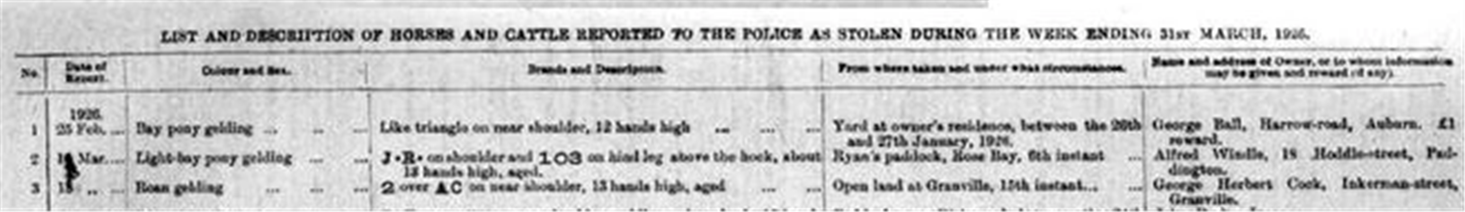 Table from the New South Wales Police Gazette listing horses reported stolen, including a roan gelding belonging to George Herbert Cock of Inkerman Street, Granville.