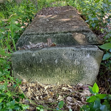 A small, heavily weathered sandstone headstone at Camperdown Cemetery, its inscription for Elsie Gertrude largely worn away.
