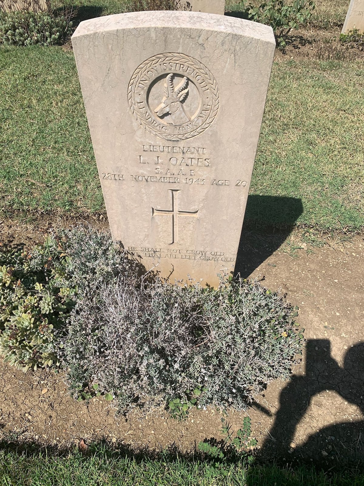 Commonwealth war grave headstone with the South African springbok badge reading Lieutenant L. J. Oates, S.A.A.F., 28th November 1943, age 20, with a cross and the inscription He shall not grow old as we that are left grow old, behind a bed of grey shrubs.